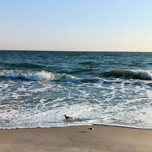 Any size, any kind of custom made to order pictures